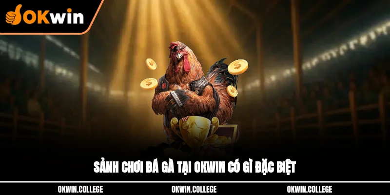Sảnh chơi đá gà tại OKWIN có gì đặc biệt?